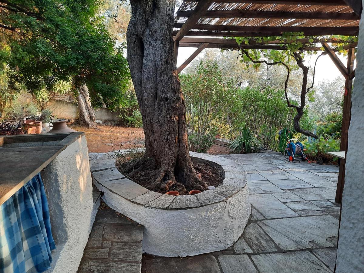 אפיסוס Villa Imelda מראה חיצוני תמונה