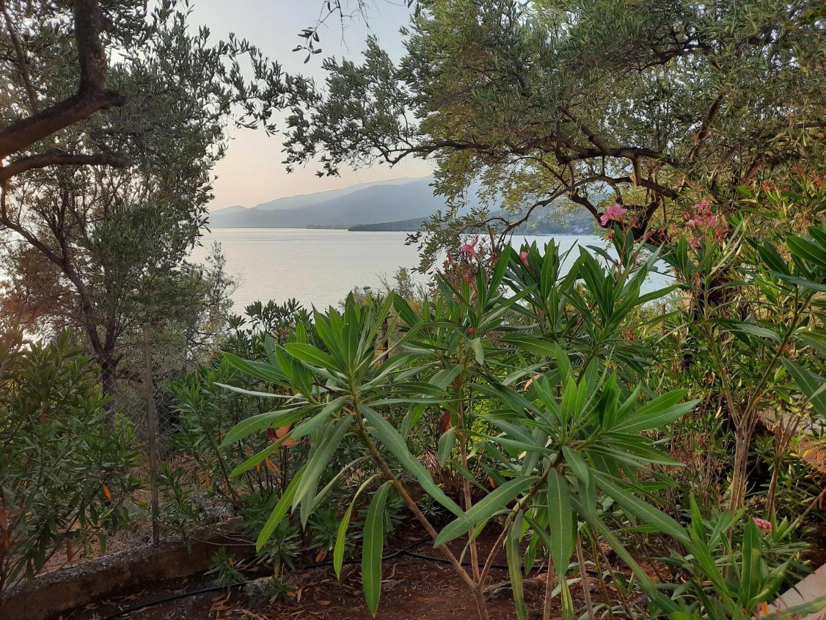 אפיסוס Villa Imelda מראה חיצוני תמונה