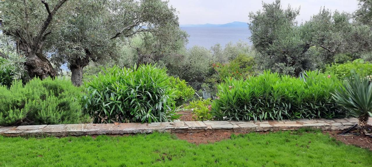 אפיסוס Villa Imelda מראה חיצוני תמונה