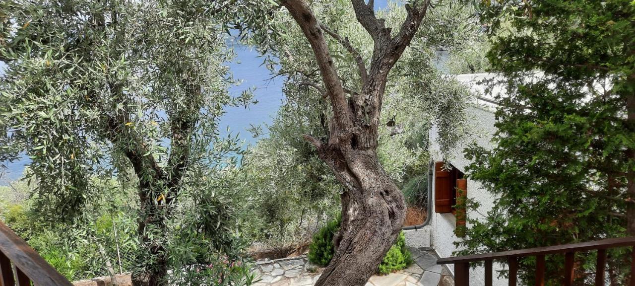 אפיסוס Villa Imelda מראה חיצוני תמונה